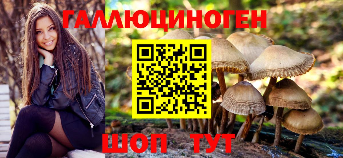 Псилоцибиновые грибы мухоморы Дальнегорск